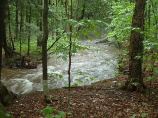 brook